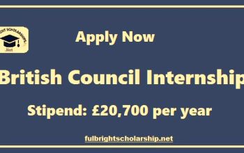 British Council Internship