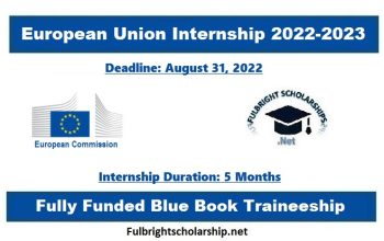 European Union Internship