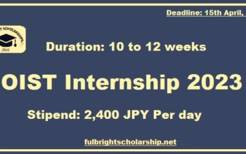 OIST Internship 2023