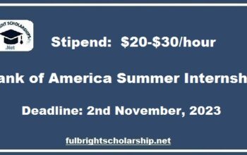 Bank of America Summer Internship 2023
