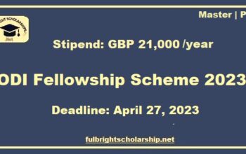 ODI Fellowship Scheme 2023