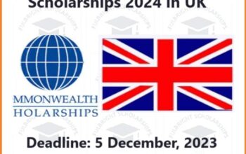 Commonwealth Split Site Scholarships 2024